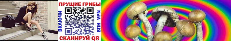 Псилоцибиновые грибы Magic Shrooms  купить наркотики цена  Уварово 